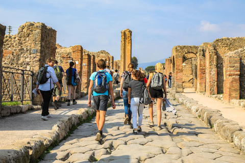 From Naples: Pompeii and Sorrento Guided Tour Tour in English