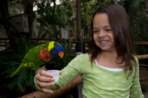 Zoo e Safari Park di San Diego: biglietto d&#039;ingresso per 2 giorni