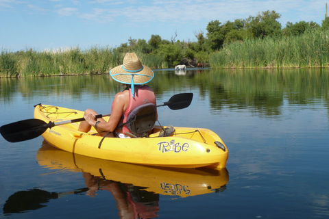 Phoenix: Self-Guided Kayaking Trip to Foxtail