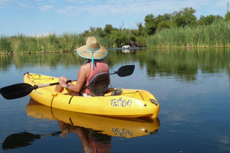 Phoenix: Self-Guided Kayaking Trip to Foxtail