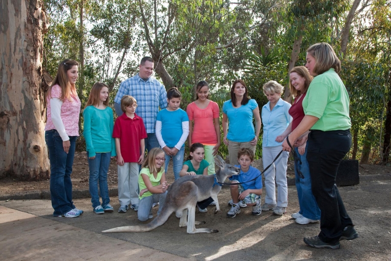 Zoo i park safari w San Diego: 2-dniowy bilet wstępu