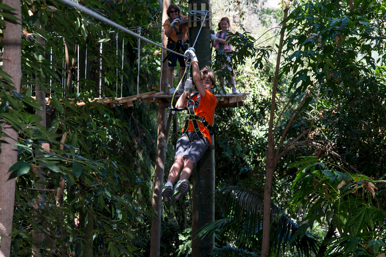 Zoo e Safari Park di San Diego: biglietto d&#039;ingresso per 2 giorni