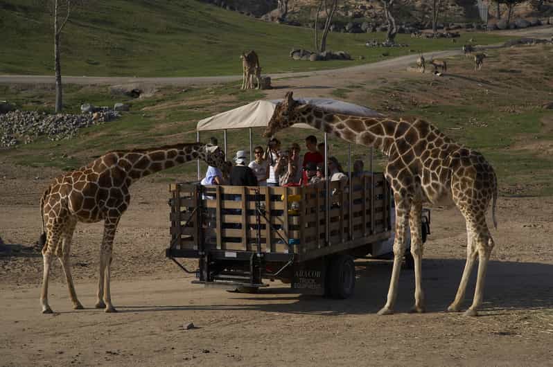 san diego zoo and safari park 2 day pass