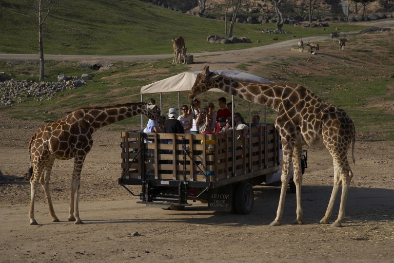 San Diego Zoo and Safari Park: 2-Day Entry Ticket San Diego Zoo and Safari Park: 2-Day Admission Ticket