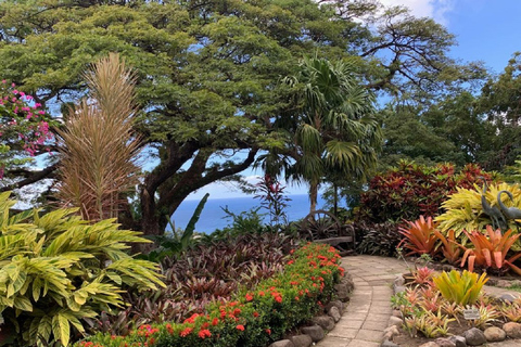 Basseterre: piantagione e stravaganza sulla spiaggia