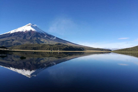 De Quito: 2 jours de voyage Cotopaxi et QuilotoaOption standard