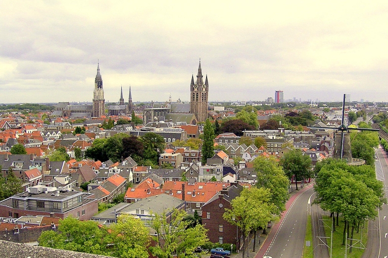 Desde Ámsterdam: excursión privada de un día a Delft y La Haya
