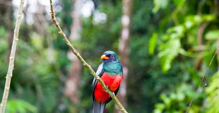 Hacienda Guachipelin, Liberia, Costa Rica - Book Tickets & Tours ...