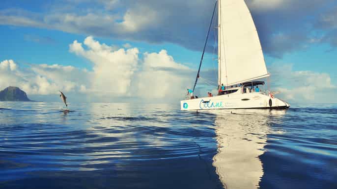 ile aux benitiers private full day cruise