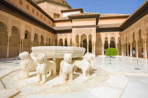 Private tour in all complete complex of Alhambra with ticket Private tour in all complete complex of Alhambra