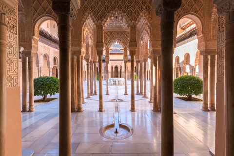 Private tour in all complete complex of Alhambra with ticket Private tour in all complete complex of Alhambra