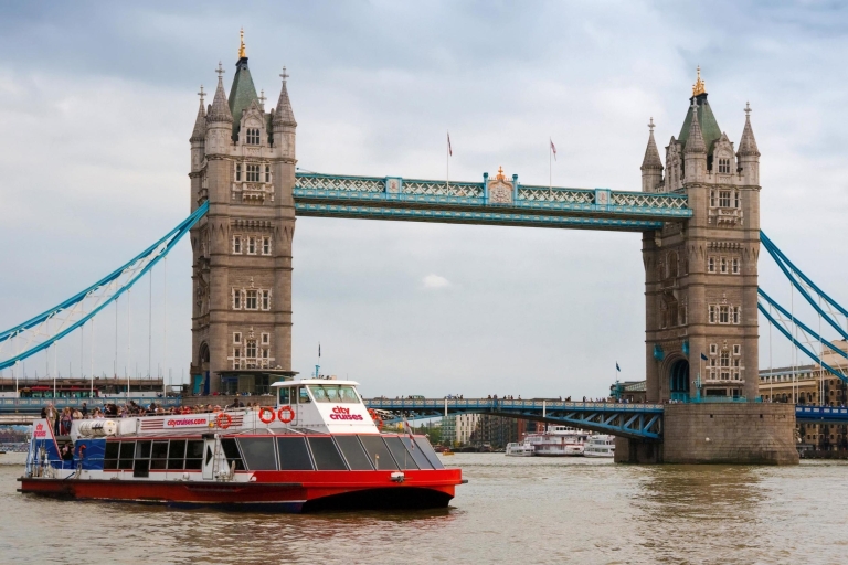 Londres: tour de Westminster, crucero por el río y torre de Londres