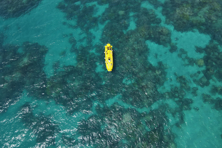 Klassieke rondleiding door het rif in ZanzibarKlassieke rifervaring in Zanzibar