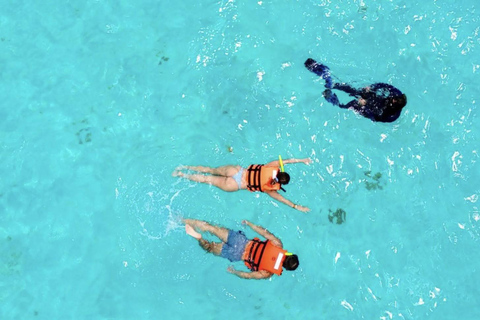 Cozumel: Beach Escape: Buffet & Open Bar Included