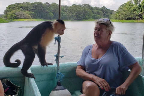 Vanuit Panama-Stad: boottocht Monkey Island & Indian VillageStandaardoptie
