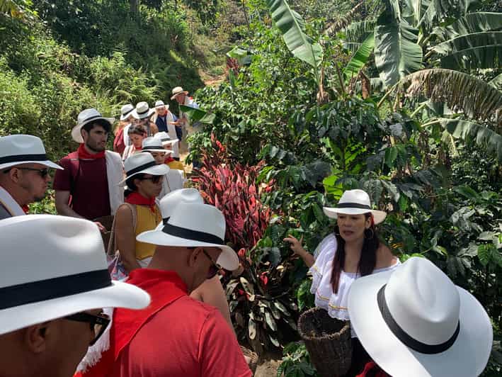 Medellín: Coffee Tour With Tastings and Lunch | GetYourGuide