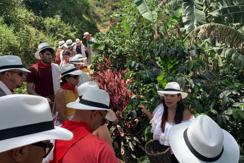 Medellín: Kaffee-Tour mit Verkostung und MittagessenKaffee-Tour mit Verkostung, Mittagessen und Ausritt