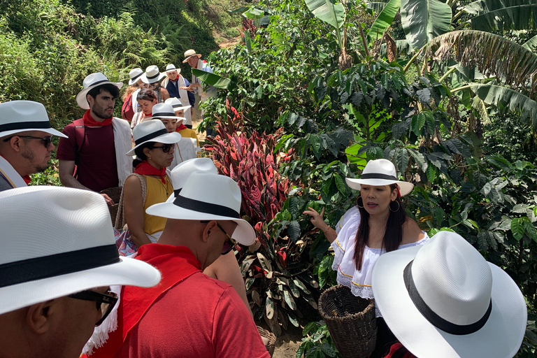 Medellín : Visite du café avec dégustations et déjeunerVisite du café avec dégustations, déjeuner et promenade à cheval