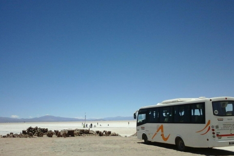 Ab Salta: Wanderung zur Salzwüste & im Valle ColoradoTour mit Hotelabholung