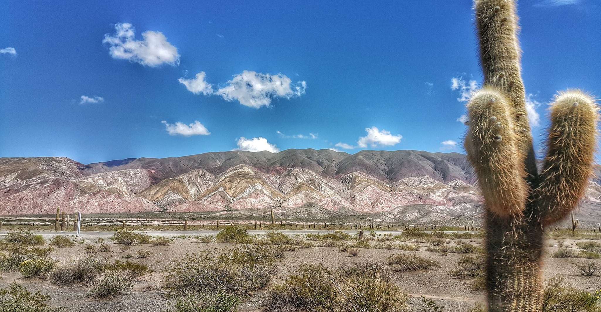 Desde Salta, excursión de un día a Cachi y los Valles de Calchaquí - Hizvo