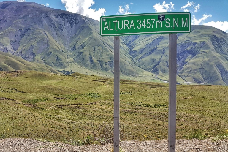From Salta: Day Trip to Cachi and the Calchaquí Valleys Tour with Hotel Pickup