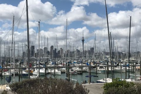 Auckland: visite privée d'une demi-journée des points forts de la ville