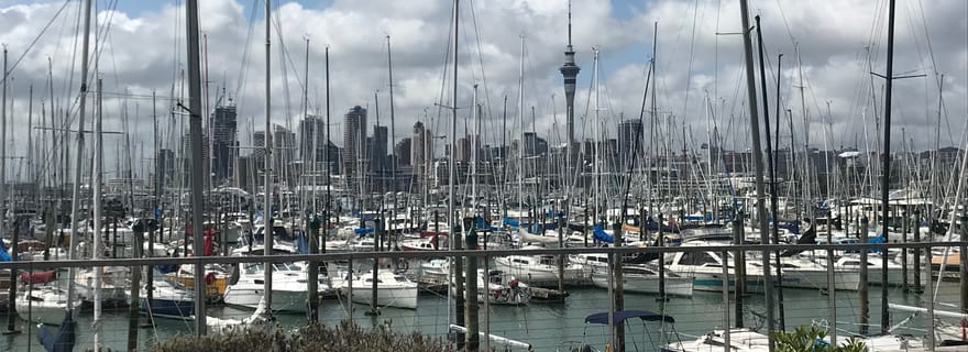 Auckland : visite privée d'une demi-journée des sites incontournables de la ville