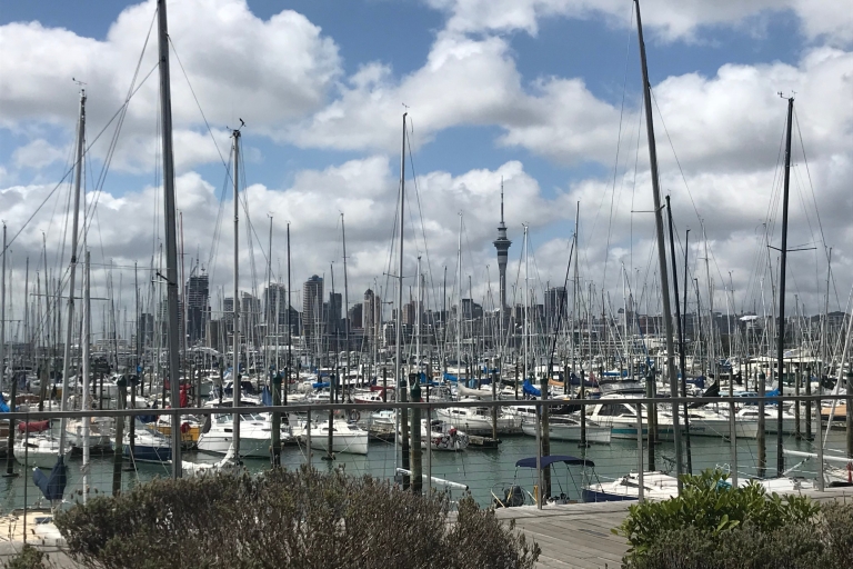 Auckland: Half-Day Private City Highlights TourOdbiór i odbiór statku wycieczkowego