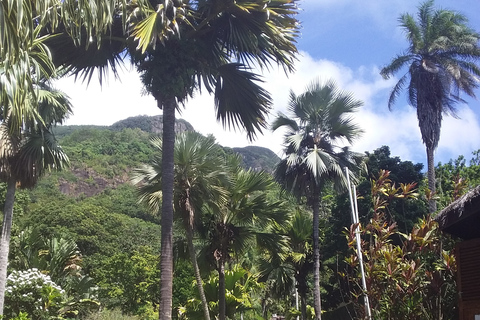 Mahé: Individuelle private Inseltour mit Fahrer