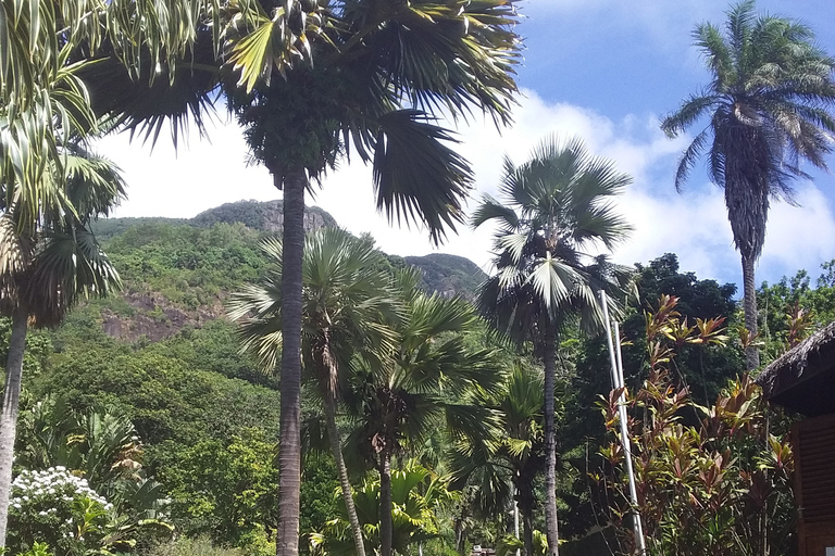 Mahé: Individuelle private Inseltour mit Fahrer