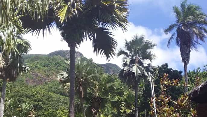 mahé customizable private tour of island with driver