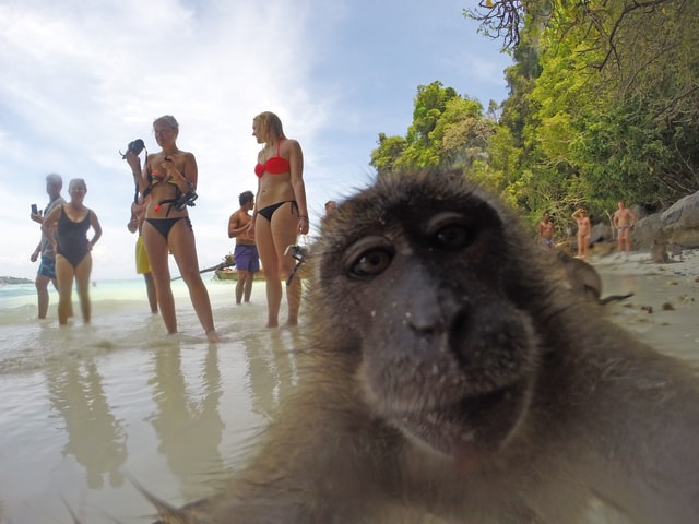 Koh Phi Phi: Captain Bob's Private Booze Cruise