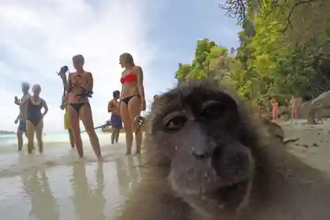Koh Phi Phi: Captain Bob's Private Booze Cruise