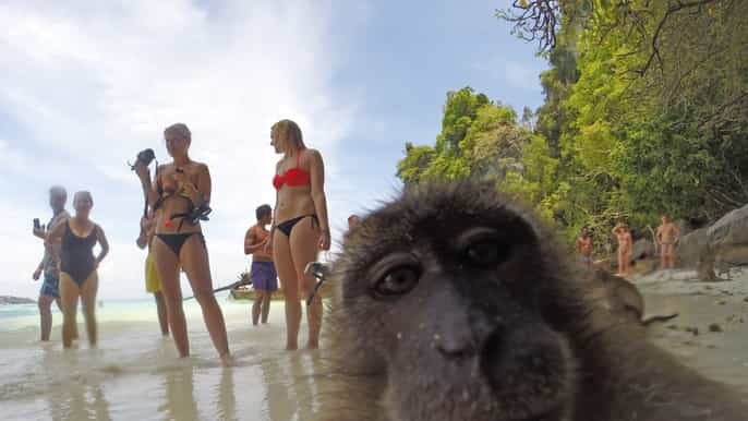 koh phi phi captain bobs private booze cruise