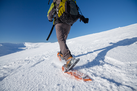 Tromso: recorrido panorámico y ecológico con raquetas de nieve