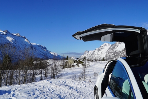 Tromso: malownicza i ekologiczna wycieczka na rakietach śnieżnych