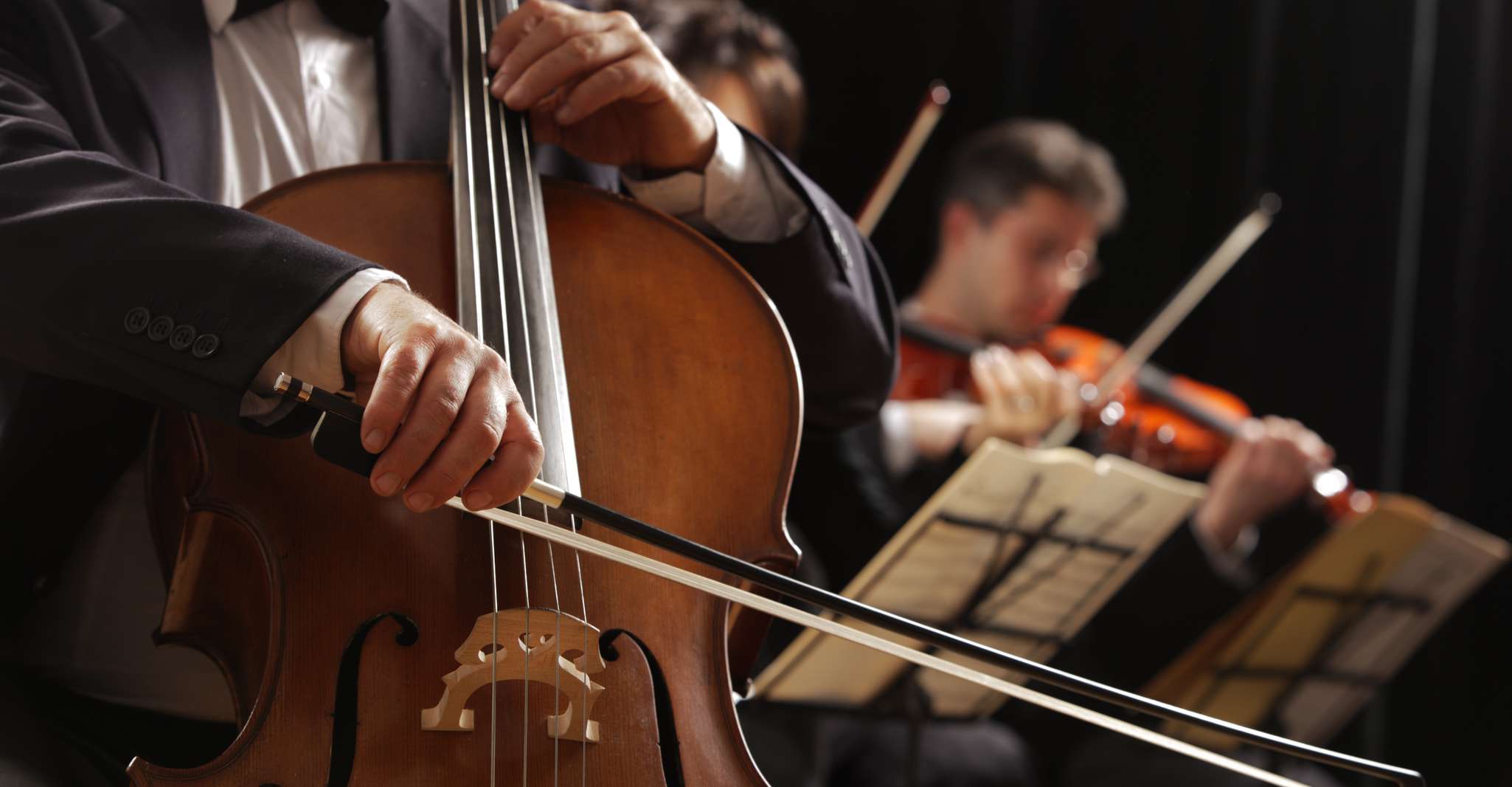 Budapest: Classical Music Concerts in St Stephen's Basilica photo 2