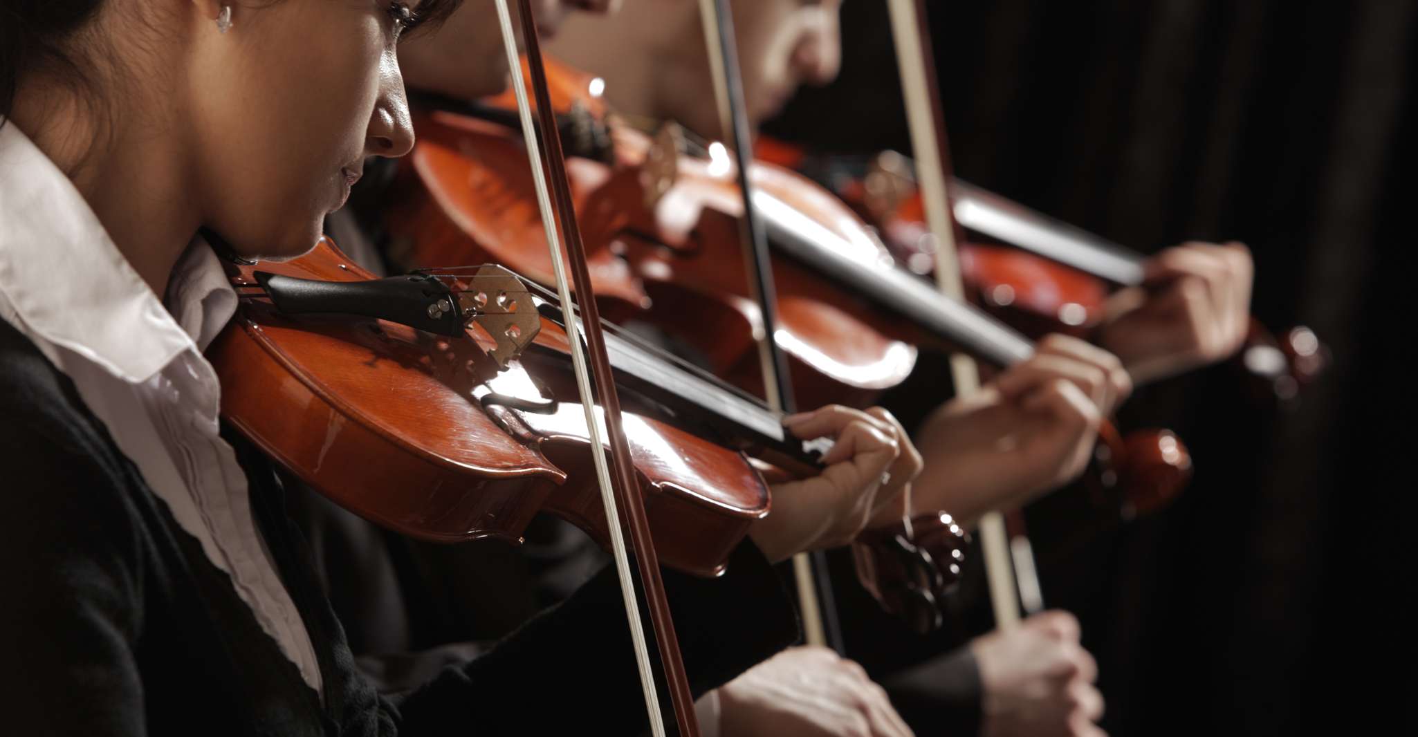 Budapest: Classical Music Concerts in St Stephen's Basilica photo 6