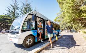 From Fremantle: Rottnest Island Ferry & Bus Day Tour