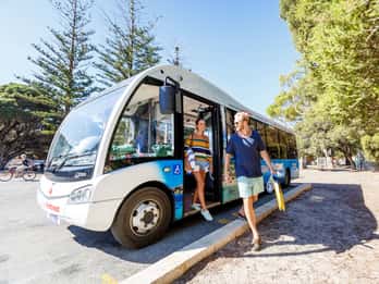 From Fremantle: Rottnest Island Ferry & Bus Day Tour