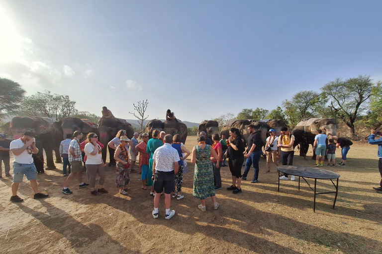 Roze Stad Wandeltour Met Ons ( Een Haritage Wandeling in Jaipur)