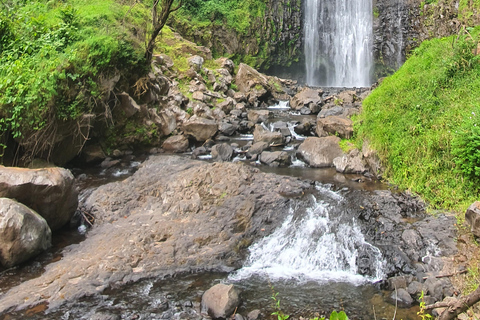 Kilimanjaro: Vandring till vattenfall och stadsturKilimanjaro: vandring till vattenfall och stadstur