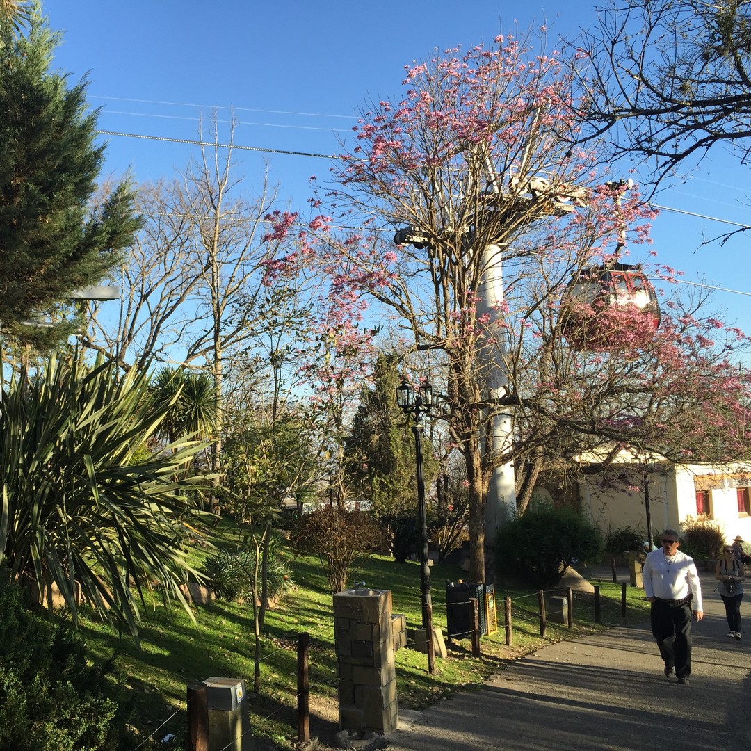 Colagem de mídia