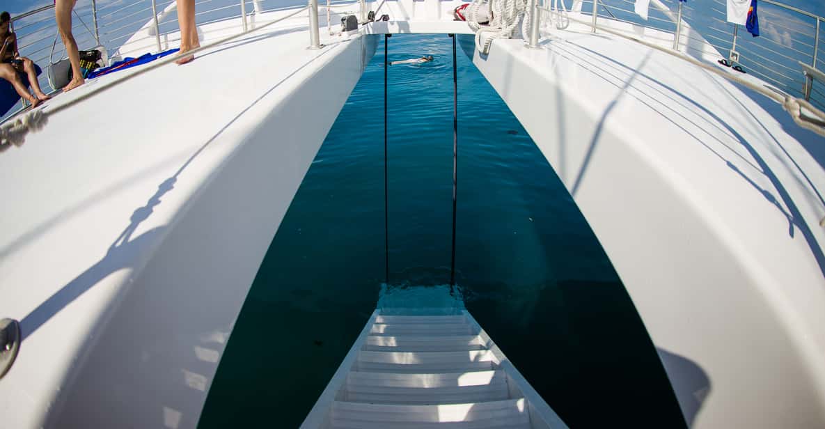 Key West: Sunset Snorkel Sail Trip with Open Bar