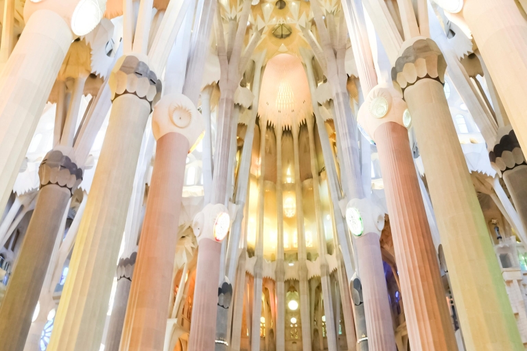 Sagrada Familia: rondleiding met voorrangstoegangRondleiding in het Spaans