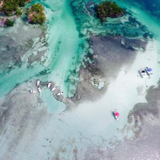 Key West: Eco Safari Tour with Snorkeling