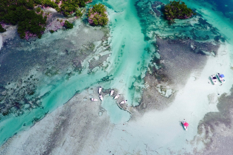 Key West: Eco Safari Sandbar Tour with SnorkelingKey West: Eco Safari Tour with Snorkeling