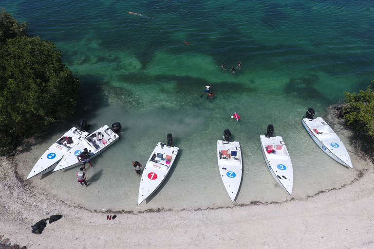 Key West: Eco Safari Tour met snorkelen