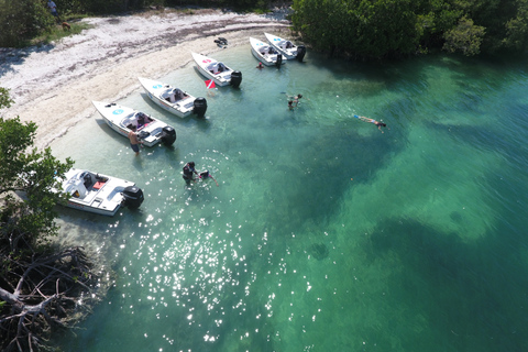 Key West: Tour Eco Safari Sandbar con snorkelingKey West: Eco Safari Tour con Snorkeling