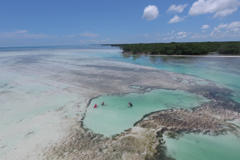 Key West: Tour Eco Safari Sandbar con snorkelingKey West: Eco Safari Tour con Snorkeling